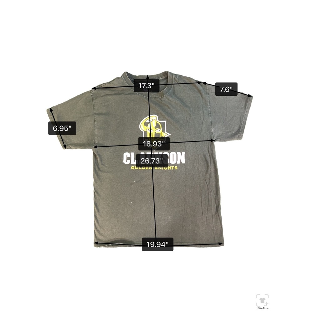 Champion Clarkson Golden Knights Mens Medium Gray Graphic T-Shirt Collegiate Tee - Picture 3 of 3